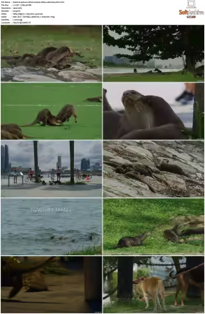 Uptown Otters S01 1080p WEB H264-CBFM