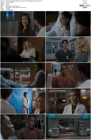 The Good Doctor S01-S07 720p WEBRip 2CH x265 HEVC-PSA