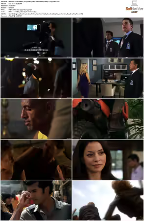 Covert Affairs 2010 S01 S05 1080p AMZN Webrip DDP5.1 x265-Vialle