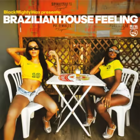 VA - Brazilian House Feeling (2026)