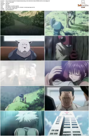 Hunter x Hunter 2011 S01-S06 1080p NF WEB-DL AAC2.0 H264-ZigZag