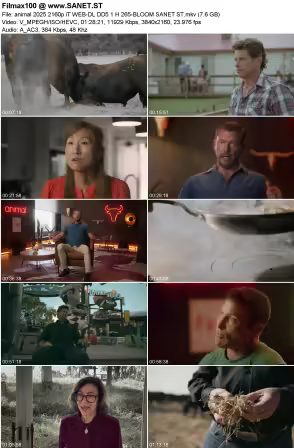 animal 2025 2160p iT WEB-DL DD5.1 H265-BLOOM