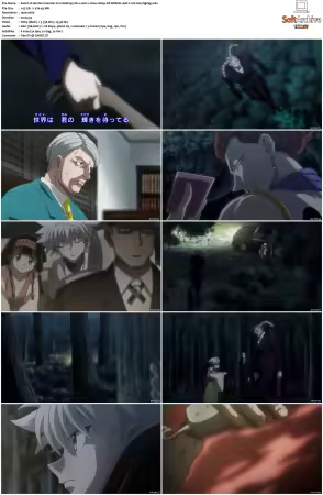 Hunter x Hunter 2011 S01-S06 1080p NF WEB-DL AAC2.0 H264-ZigZag