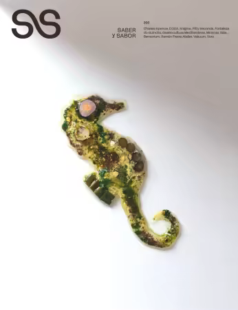 Saber y Sabor - Issue 200, 2026