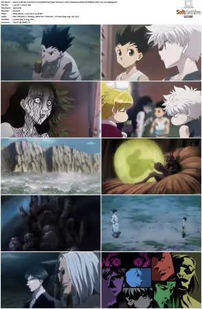 Hunter x Hunter 2011 S01-S06 1080p NF WEB-DL AAC2.0 H264-ZigZag