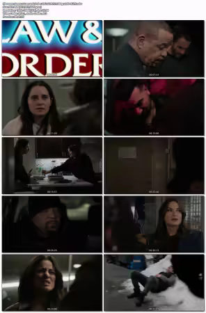 Law and Order SVU S27E17 1080p x265-ELiTE