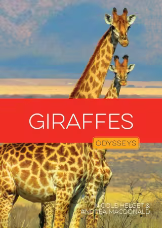 Giraffes (Odysseys in the Wild)