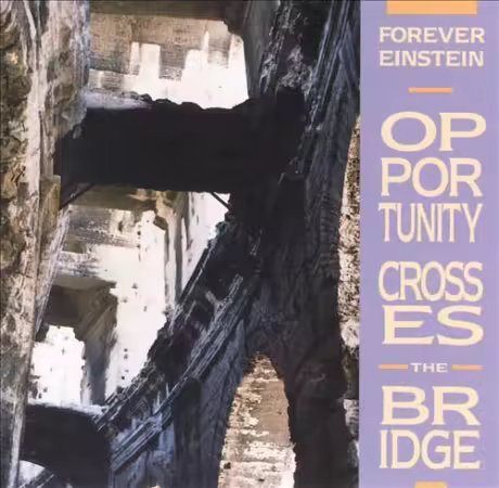 Forever Einstein - Opportunity Crosses The Bridge (1992)