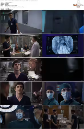 The Good Doctor S01 S07 720p WEBRip 2CH x265 HEVC-PSA