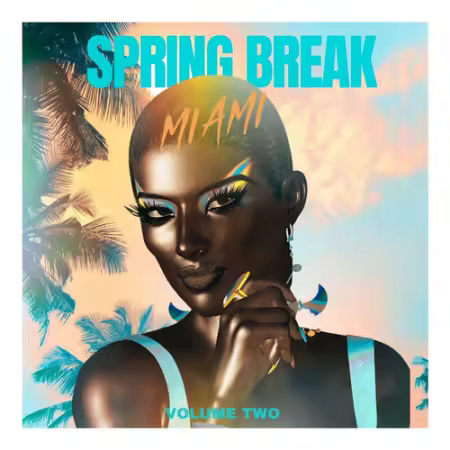 VA - Spring Break Miami Volume Two (2026)