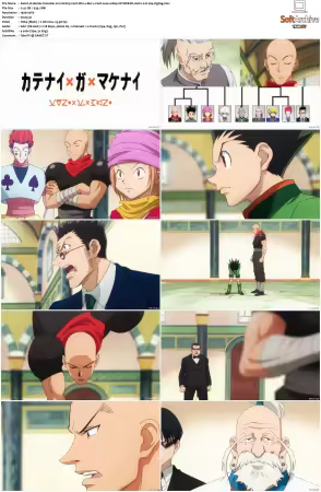 Hunter x Hunter 2011 S01-S06 1080p NF WEB-DL AAC2.0 H264-ZigZag