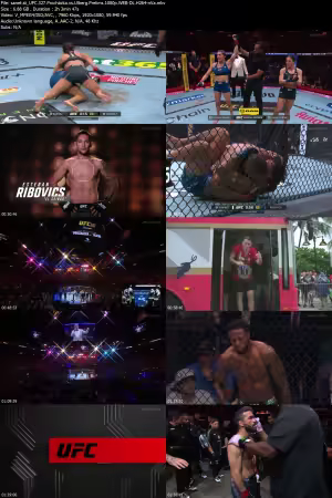 UFC 327 Procházka vs Ulberg Prelims 1080p WEB-DL H264-nVa
