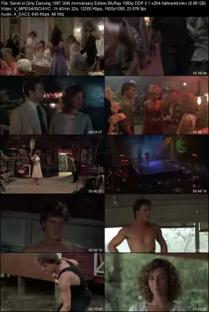 Dirty Dancing 1987 30th Anniversary Edition BluRay 1080p DDP 5.1 x264-hallowed