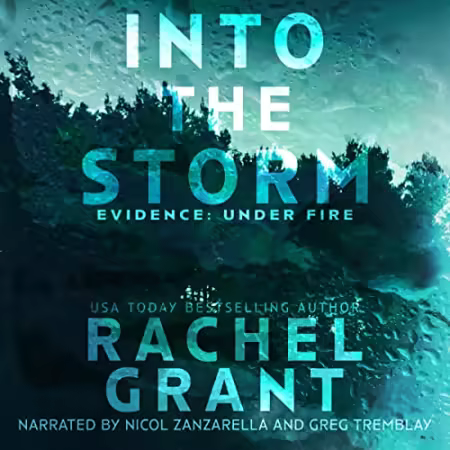 Into the Storm[Audiobook]