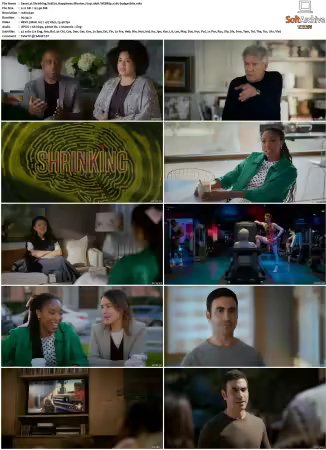 Shrinking S01 S03 720p 10bit WEBRip x265-budgetbits
