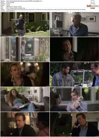 Shrinking S01 S03 720p 10bit WEBRip x265-budgetbits