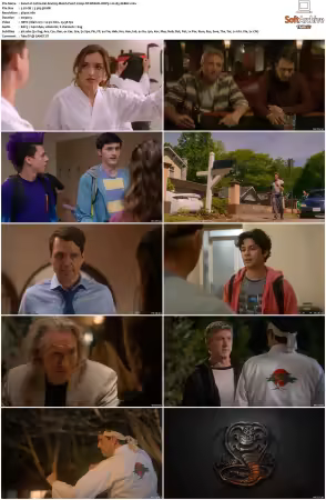 Cobra Kai S04 2160p NF WEB-DL DDP5.1 H265-XEBEC