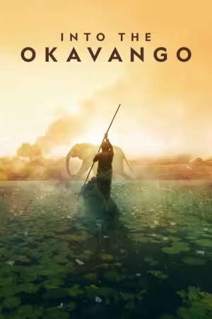 Into the Okavango 2018 1080p WEB H264-SHIIIT