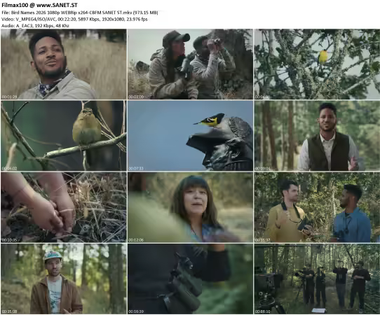 Bird Names 2026 1080p WEBRip x264-CBFM