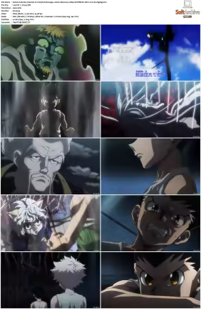 Hunter x Hunter 2011 S01-S06 1080p NF WEB-DL AAC2.0 H264-ZigZag