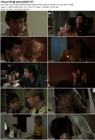 After Hours 1985 REMASTERED BDRip x264-PiGNUS