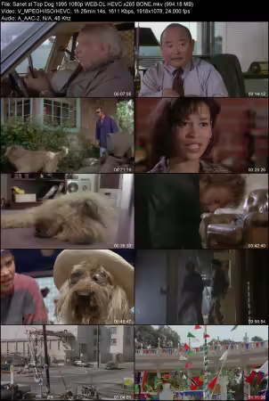 Top Dog 1995 1080p WEB-DL HEVC x265 BONE