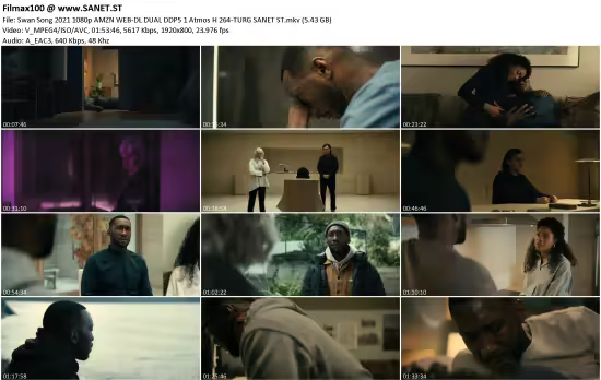 Swan Song 2021 1080p AMZN WEB-DL DUAL DDP5.1 Atmos H264-TURG