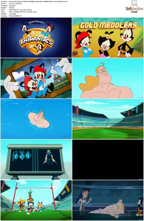 Animaniacs 2020 S01 S03 1080p HULU WEBRip DDP5 1 x265-EDGE2020