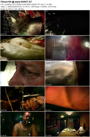 Leviathan 2012 BDRip x264-WiDE