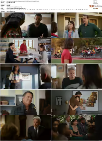 Shrinking S01 S03 720p 10bit WEBRip x265-budgetbits