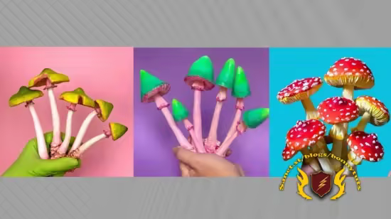 4-in-1 Papier-Mache Mushroom Tutorial for Beginners