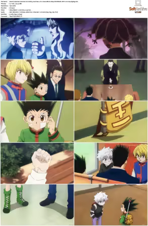Hunter x Hunter 2011 S01-S06 1080p NF WEB-DL AAC2.0 H264-ZigZag