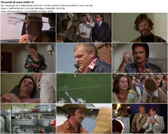SemiTough 1977 1080p BluRay x264 FLAC 2.0 DUAL-AUDIO PT-BR-GuyZo