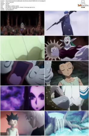 Hunter x Hunter 2011 S01-S06 1080p NF WEB-DL AAC2.0 H264-ZigZag