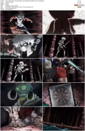 Hunter x Hunter 2011 S01-S06 1080p NF WEB-DL AAC2.0 H264-ZigZag