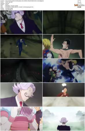Hunter x Hunter 2011 S01-S06 1080p NF WEB-DL AAC2.0 H264-ZigZag