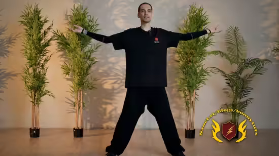 Chinese Qigong: Circulation, Joint Health &amp; Recovery