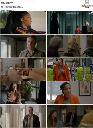 Shrinking S01 S03 720p 10bit WEBRip x265-budgetbits