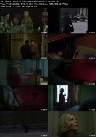 Carol 2015 1080p BluRay x265-YAWNTiC