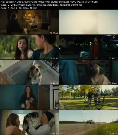 A Dogs Journey 2019 1080p 10bit BluRay 8CH x265 HEVC-PSA
