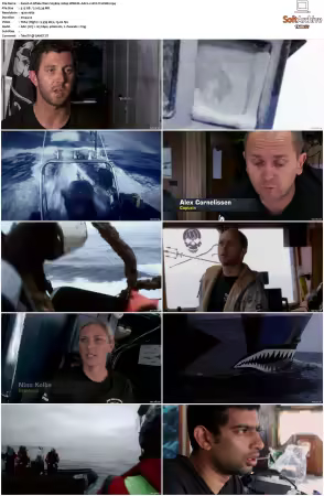 Whale Wars S05 1080p WEB-DL AAC2.0 AVC-TrollHD
