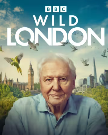 Wild London 2025 1080p WEBRip x264 AC3 DiVERSiTY