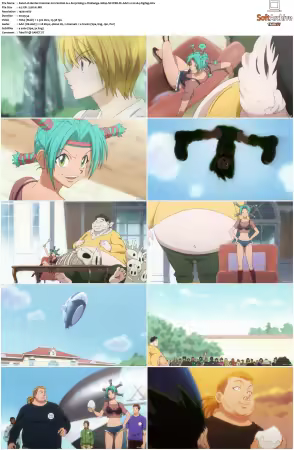Hunter x Hunter 2011 S01-S06 1080p NF WEB-DL AAC2.0 H264-ZigZag