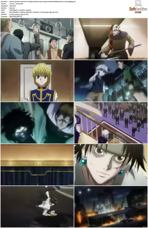 Hunter x Hunter 2011 S01-S06 1080p NF WEB-DL AAC2.0 H264-ZigZag