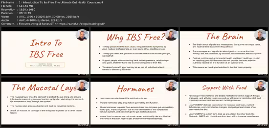 Gut Health Programme, Become Ibs &amp; Gut Issue Free!