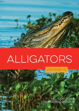 Alligators (Odysseys in the Wild)