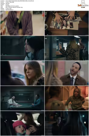 High Potential S01 S02 1080p DSNP WEB-DL DDP5.1 H264-NTb