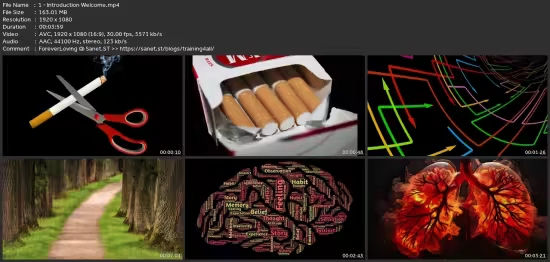 The 3-Step Quit Smoking System