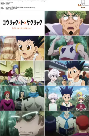 Hunter x Hunter 2011 S01-S06 1080p NF WEB-DL AAC2.0 H264-ZigZag