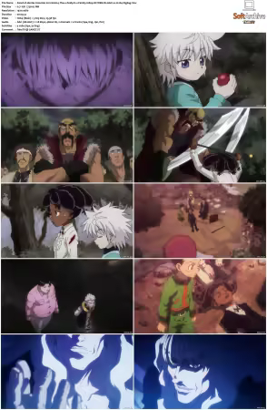 Hunter x Hunter 2011 S01-S06 1080p NF WEB-DL AAC2.0 H264-ZigZag